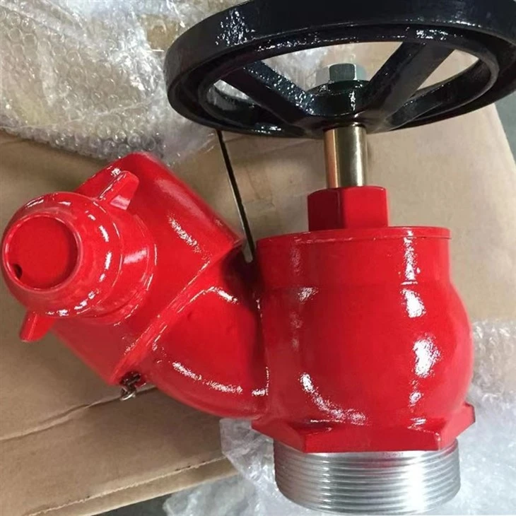 Steadying And Revolving Indoor Fire Hydrant